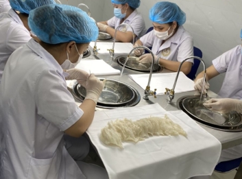 gia công yến sào 